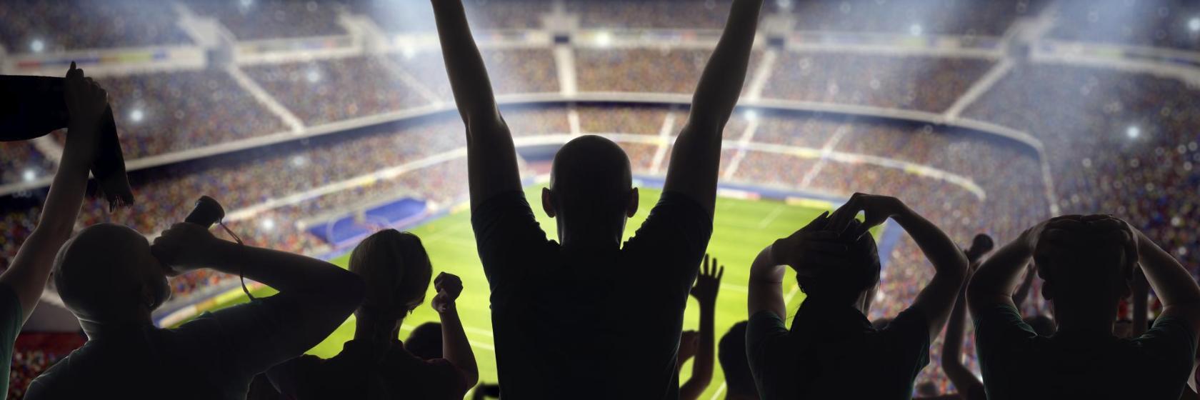 Parc Olympique Lyonnais